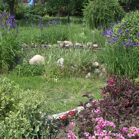 Bed & Breakfast Pan Tadeusz